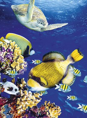 【预订】Ocean Life 2023 Slim Calendar 9781839419096