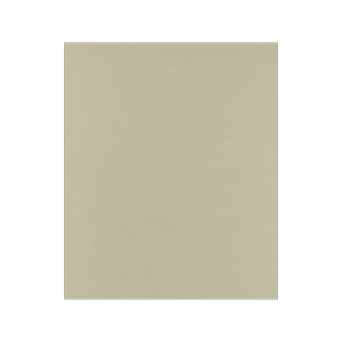 预订 Theodor W. Adorno: An Introduction