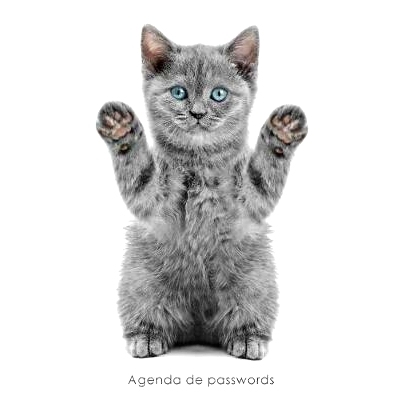 预订 Agenda de Passwords: Agenda Para Enderecos Electronicos E Passwords - Capa Gatinho Brincalhao: 9781542901550