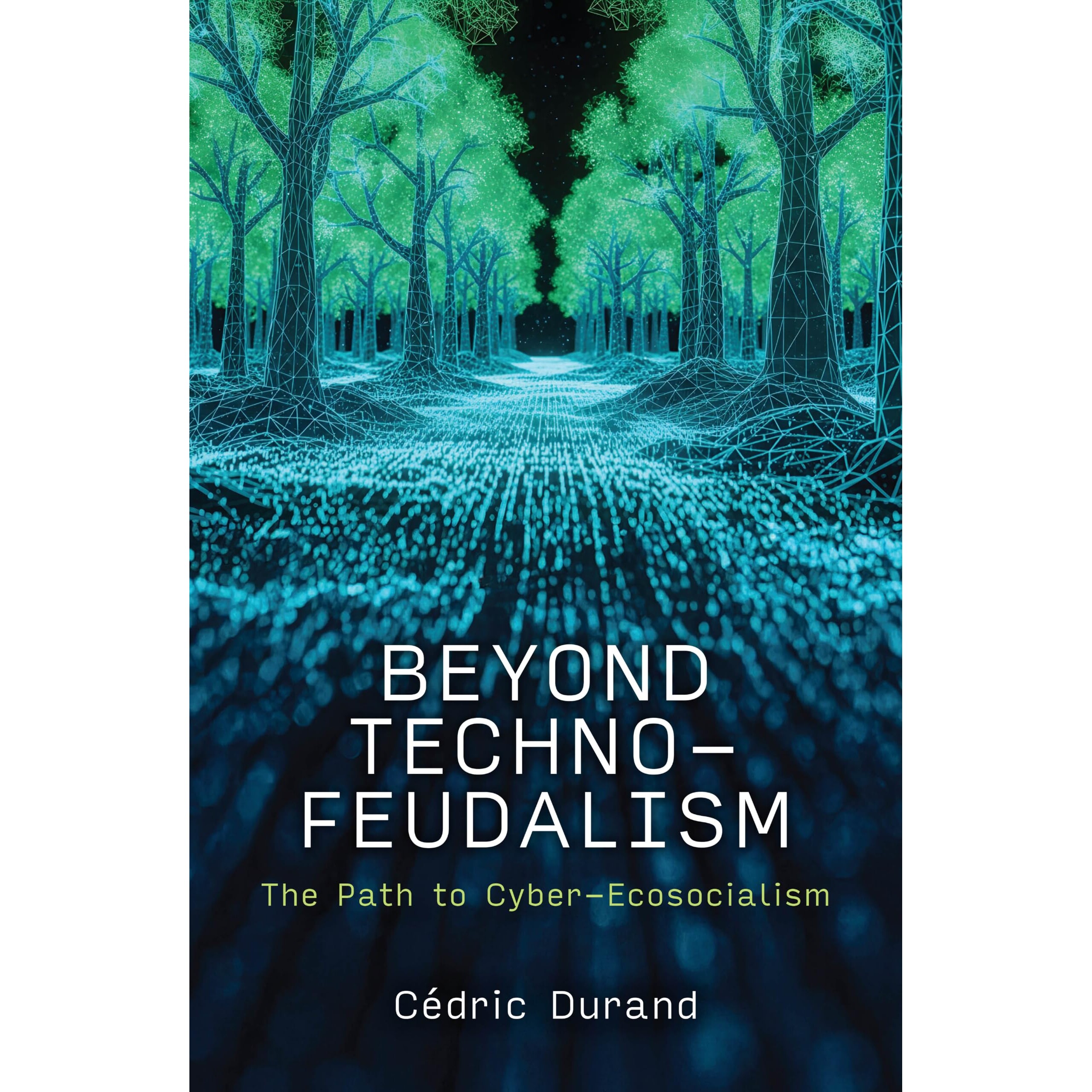 预订 Beyond Technofeudalism The Path to Cyber-ecosocialism *技术封建主义：通往网络生态社会主义的道路 9781509572908