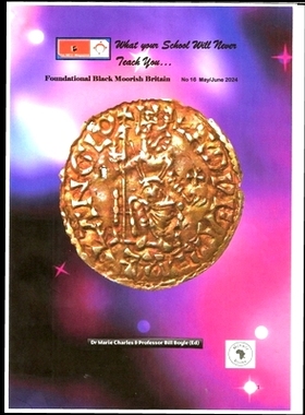 预订 What Your School Will Never Teach You: The Missing Faces In Teaching: 9798325924835