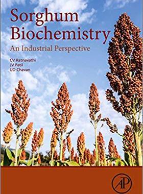 【预订】GPU-based Parallel Implementation of Swarm Intelligence Algorithms