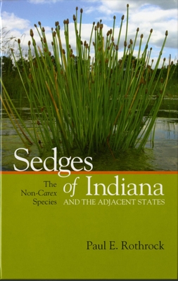 预订 Sedges of Indiana and the Adjacent States: The Non-Carex Species 书籍/杂志/报纸 人文社科类原版书 原图主图