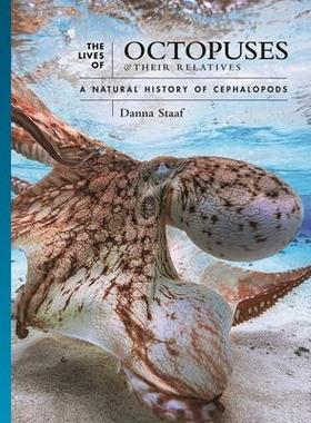 [预订]The Lives of Octopuses and Their Relatives 9780691244303