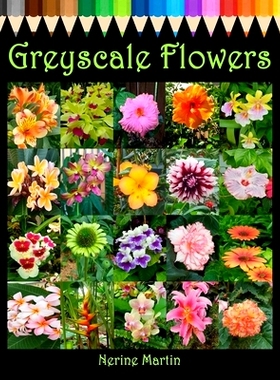 预订 Greyscale Flowers: Adult Coloring Book for Relief from Stress, Anxiety & Depression: 9781698259956