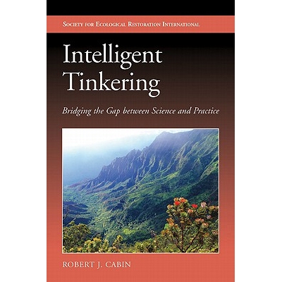 预订 Intelligent Tinkering: Bridging the Gap between Science and Practice 智能修补: 弥合科学与实践的差距: 9781597269643