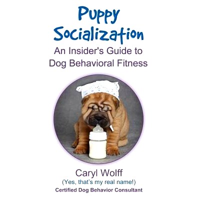 预订 Puppy Socialization: : An Insider’s Guide to Dog Behavioral Fitness: 9781500181901