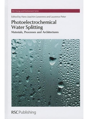 预订 Photoelectrochemical Water Splitting: Materials, Processes and Architectures 光电化学水分解：材料、工艺和结构: 9781