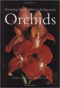 Indigenous Orchids African South 預售 Growing