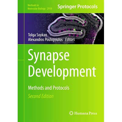 预订 Synapse Development: Methods and Protocols 突触开发：方法与协议 第2版: 9781071644454
