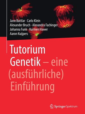 eine (ausf&uuml;hrliche) Einf&uuml;hrung