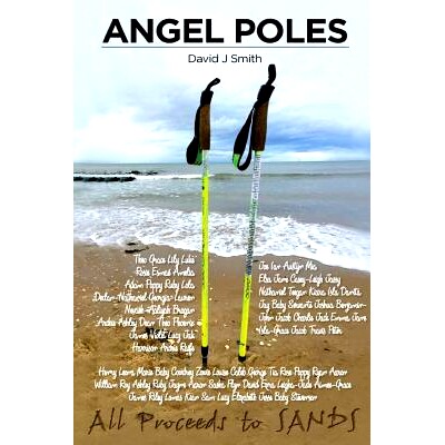 预订 Angel Poles: The True Story of Britains Most Famous Walking Poles and the Angels They Carried.: 9781548536176