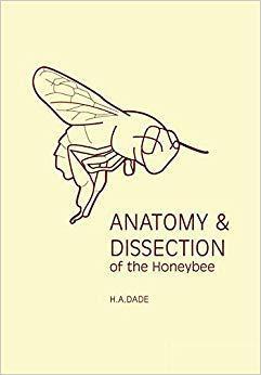 [预订]Anatomy & Dissection of the Honeybee 9780860982807