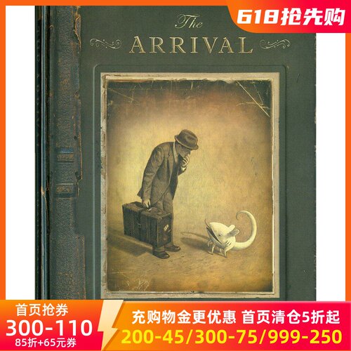 英文原版陈志勇抵岸无字插画绘本