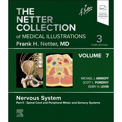 Nervous System, Volume 7, Part II - Spin