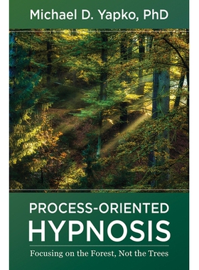 预订 Process-Oriented Hypnosis: Focusing on the Forest, Not the Trees 面向过程的催眠：专注于森林，而不是树木: 9781324016