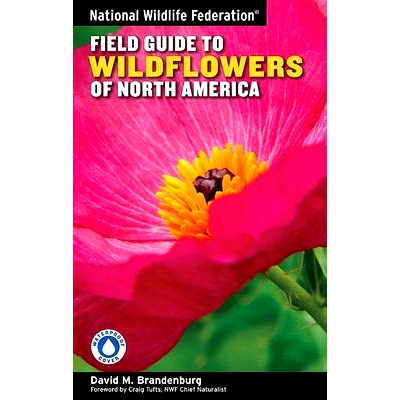 预订 National Wildlife Federation Field Guide to Wildflowers of North America: 9781402741548