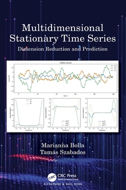 【预订】Multidimensional Stationary Time Series