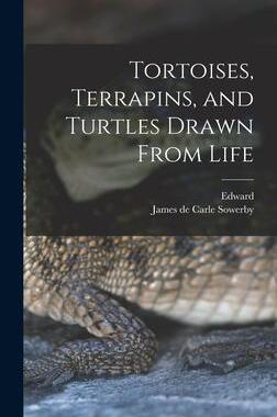 [预订]Tortoises, Terrapins, and Turtles Drawn From Life 9781015617841