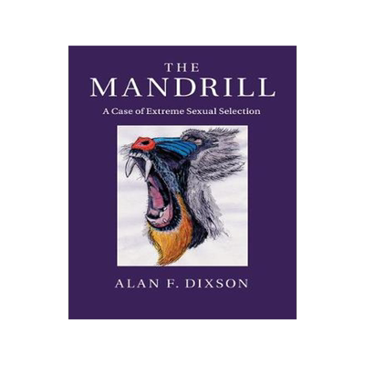 预订 The Mandrill