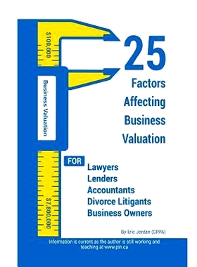 预订 25 Factors Affecting Business Valuation: 9781775007401