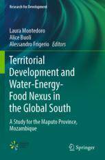 [预订]Territorial Development and Water-Energy-Food Nexus in the Global South: A Study for the Maputo Prov 9783030965402