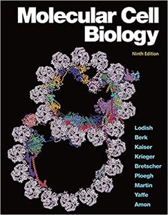 【预订】Molecular Cell Biology