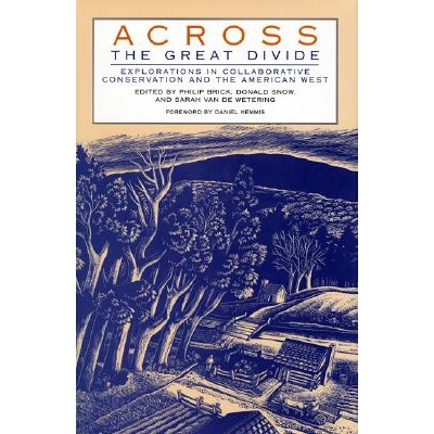 Explorations In Collaborative Conservati