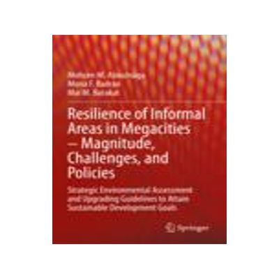 [预订]Resilience of Informal Areas in Megacities – Magnitude, Challenges, and Policies