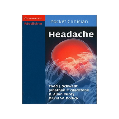 【预售】Headache