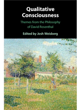 预订 Qualitative Consciousness: Themes from the Philosophy of David Rosenthal 定性的意识：大卫·罗森塔尔哲学主题: 978110