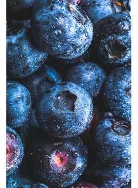 预订 Recipes for Blueberries: 9798853036109