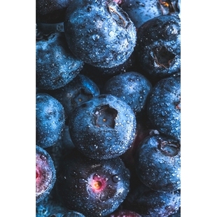 预订 Recipes for Blueberries: 9798853036109