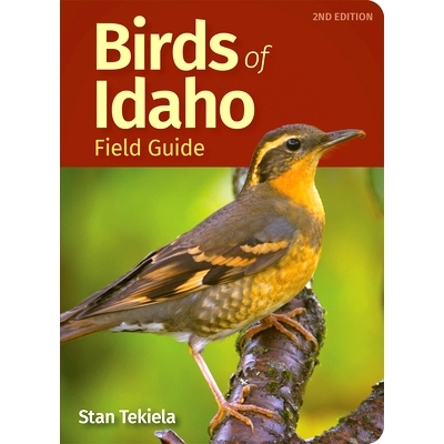 预订 Birds of Idaho Field Guide 爱达荷州野外鸟类指南: 9781647551483