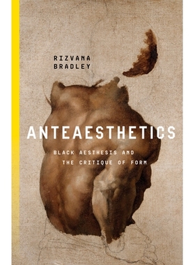 预订 Anteaesthetics: Black Aesthesis and the Critique of Form 前美学：黑色美学与形式批判: 9781503637139