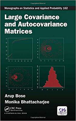 【预售】Large Covariance and Autocovariance Matrices