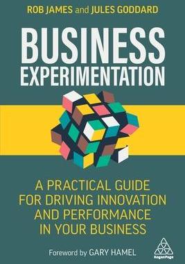 [预订]Business Experimentation 9781398601673