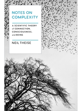 预订 Notes on Complexity 复杂性注意事项: 9781954118256