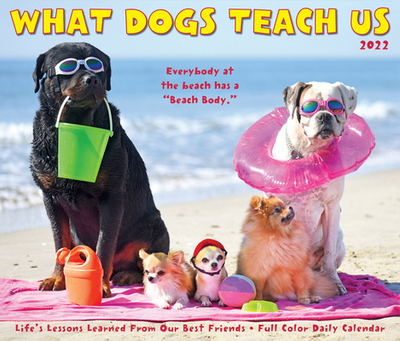 【预订】What Dogs Teach Us 2022 Box Calendar, Daily Desktop 9781549220692