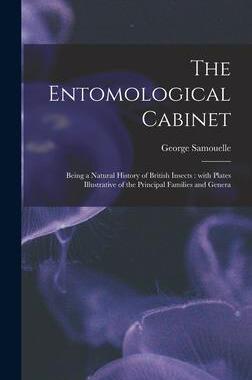 [预订]The Entomological Cabinet; Being a Natural History of British Insects: With Plates Illustrative of t 9781013598180