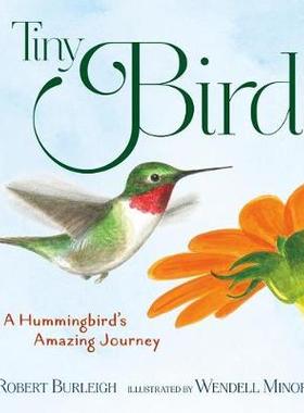 【预订】Tiny Bird: A Hummingbird’s Amazing Journey