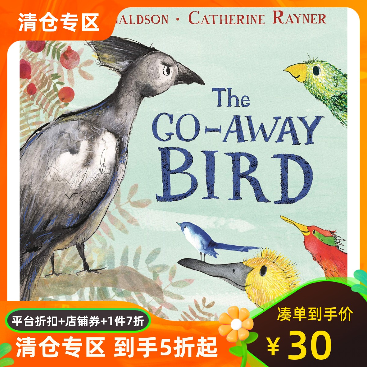 英文原版 孤独的鸟 Julia Donaldson 绘本 Catherine Rayner 插画 The Go-Away Bird