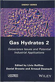 【预售】Gas Hydrates 2E