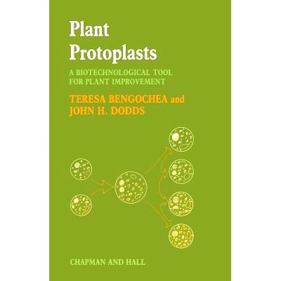 预订 Plant Protoplasts: A Biotechnological Tool for Plant Improvement: 9789401083171