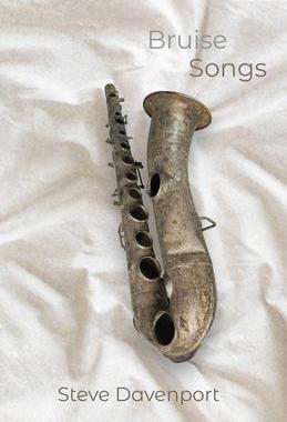 [预订]Bruise Songs 9781622883028