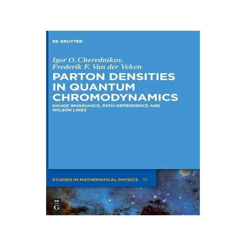 [预订]Parton Densities in Quantum Chromodynamics 9783110439397