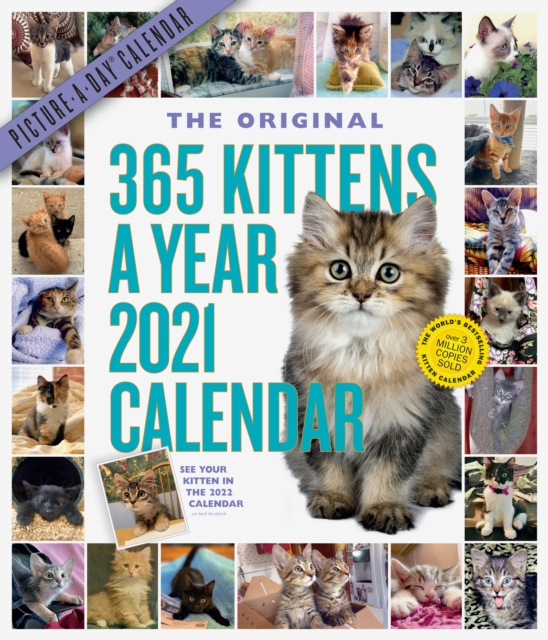 【预订】365 Kittens-A-Year Picture-A-Day Wall Calendar 2021
