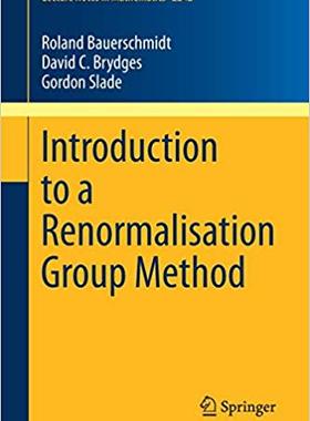 【预售】Introduction to a Renormalisation Group Method