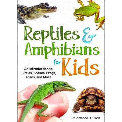 An Introduction to Turtles, Snakes, Frog