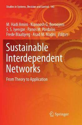 【预订】Sustainable Interdependent Networks: From Theory to Application